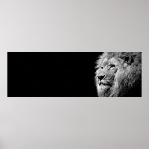 Black White Lion Portrait _ Animal Photography Poster