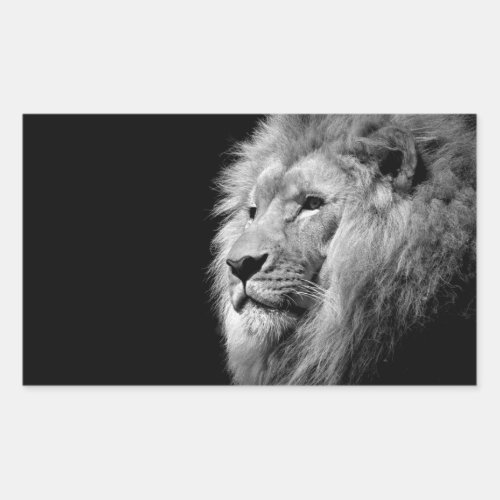 Black White Lion Portrait _ Animal Photography Rectangular Sticker