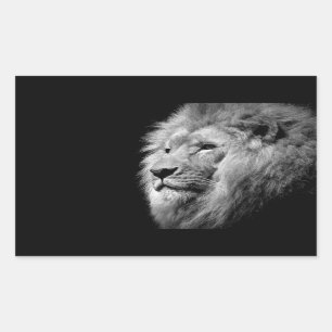 Black White Lion Portrait - Animal Photography Rectangular Sticker