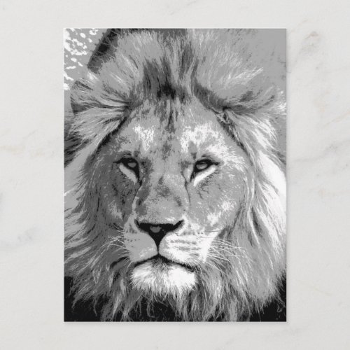 Black White Lion Postcard