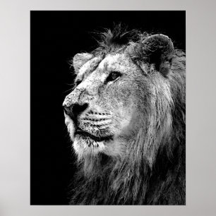 Black White Lion Poster - Animal Photography Art