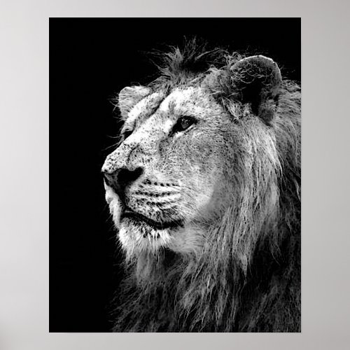 Black White Lion Poster _ Animal Photography Art