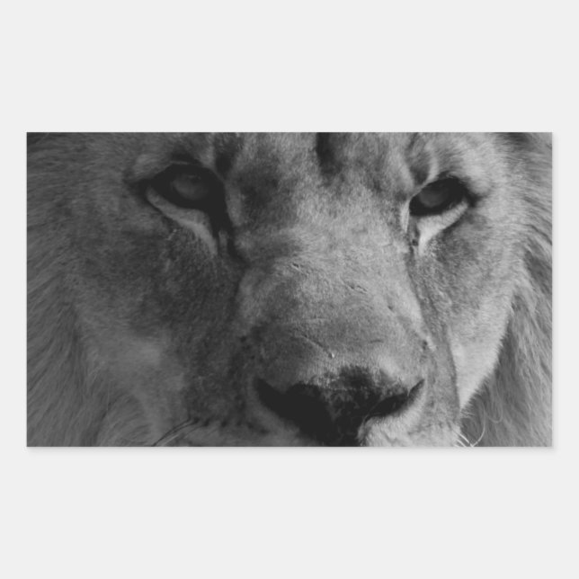 Black & White Lion Rectangular Sticker (Front)
