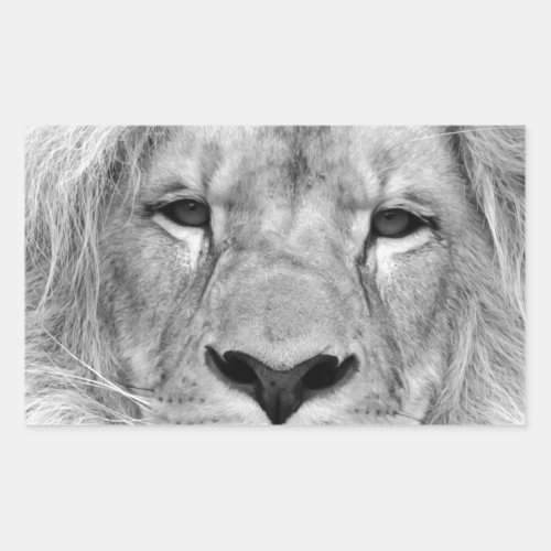 Black  White Lion Rectangular Sticker