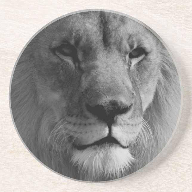Black & White Lion Sandstone Coaster (Front)