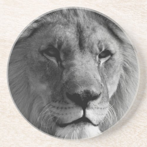 Black  White Lion Sandstone Coaster
