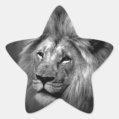 Black  White Lion Star Sticker