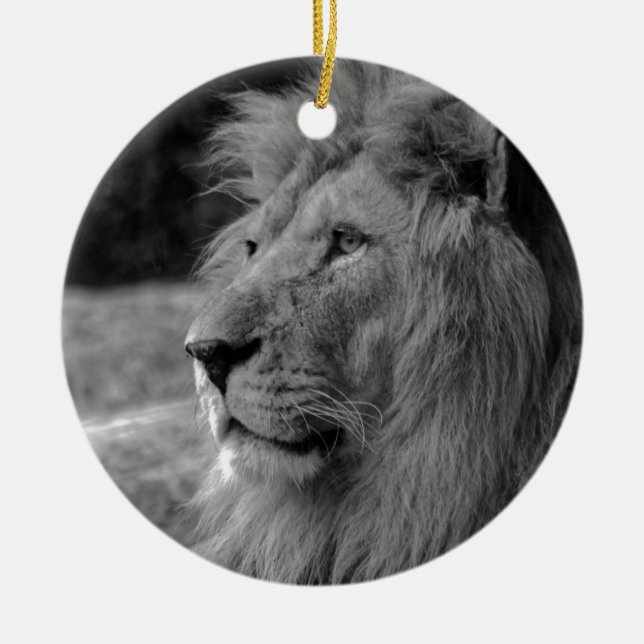 Black & White Lion - Wild Animal Ceramic Ornament (Front)