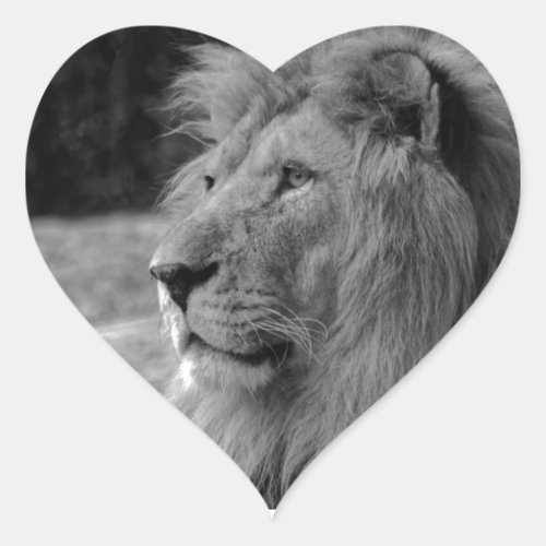 Black  White Lion _ Wild Animal Heart Sticker
