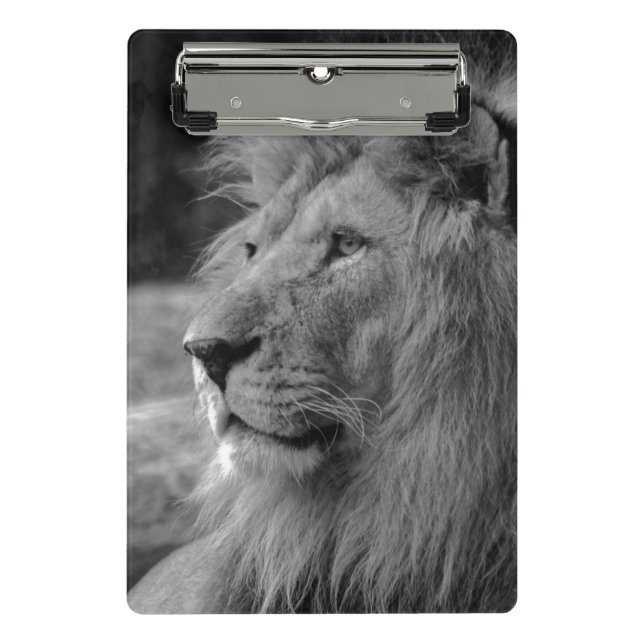 Black & White Lion - Wild Animal Mini Clipboard (Front)