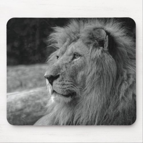 Black  White Lion _ Wild Animal Mouse Pad