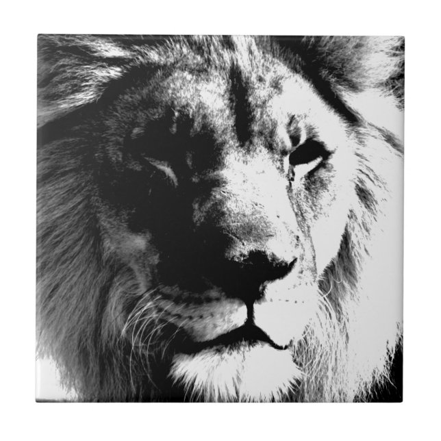 Black & White Lion - Wild Animal Photograpty Art Ceramic Tile (Front)