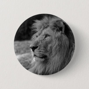 Black & White Lion - Wild Animal Pinback Button