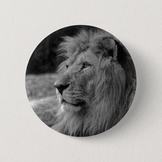 Black & White Lion - Wild Animal Pinback Button (Front)