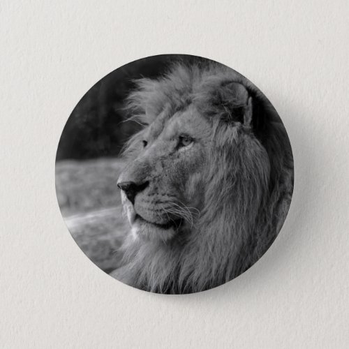 Black  White Lion _ Wild Animal Pinback Button