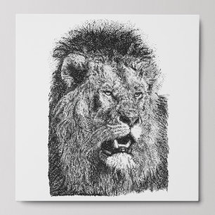 Black White Lion Wildlife Wall Decor Hand Drawn Peel And Stick Photo Tile