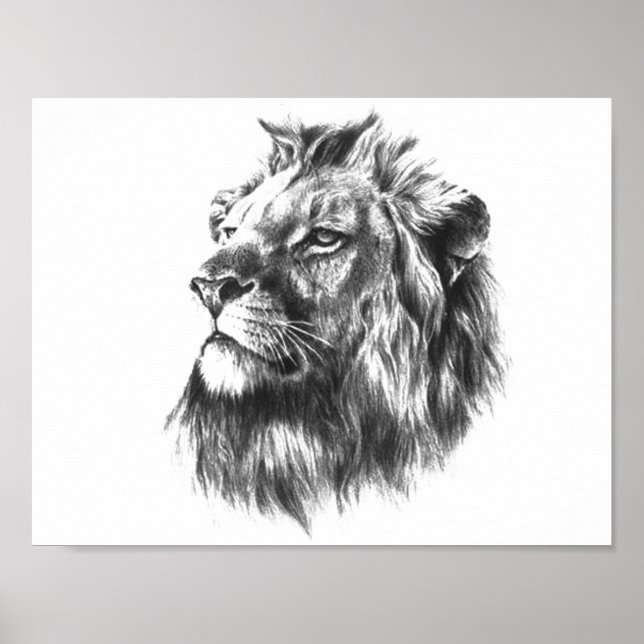 Black & White Lions Head Poster (Front)