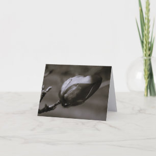 Black & White Magnolia Bud Minimalist Fine Art Not Thank You Card