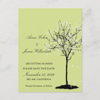 Black White Maple Tree Save The Date Postcard by PixDezines at Zazzle