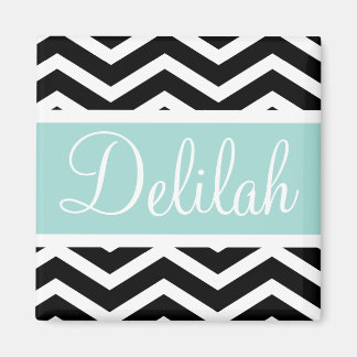 Black White Mint Turquoise Chevron Custom Magnet
