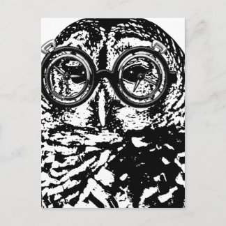 Black & white monochromatic owl with glasses postcard