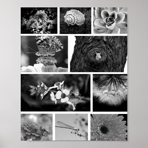 Black  White Mosaic Grid Nature Photography Art Poster