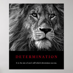 Black & White Motivational Determination Lion Art Poster