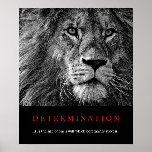 Black  White Motivational Determination Lion Art Poster