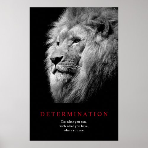 Black  White Motivational Determination Lion Art Poster