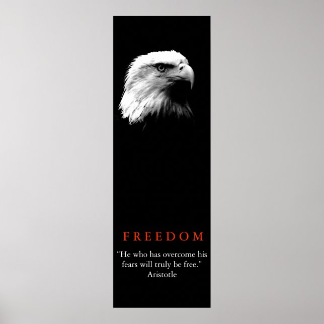Black White Motivational FREEDOM Bald Eagle Poster (Front)