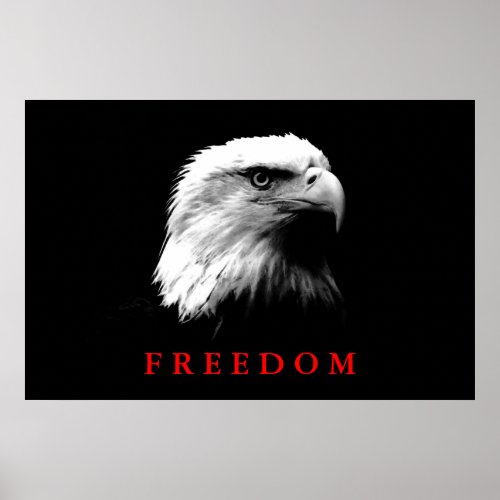 Black White Motivational Freedom Eagle Eyes Poster