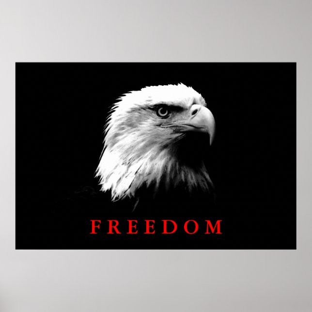 Black White Motivational Freedom Eagle Eyes Poster (Front)