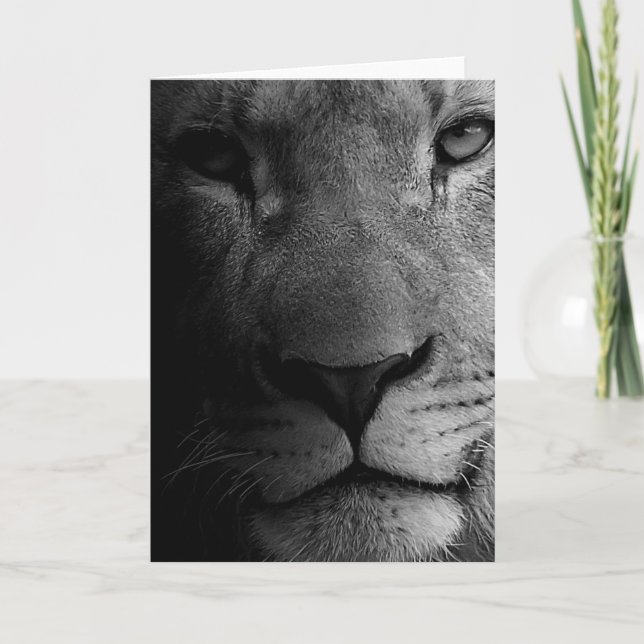 Black White Motivational Leadership Lion Portrait Card (Front)