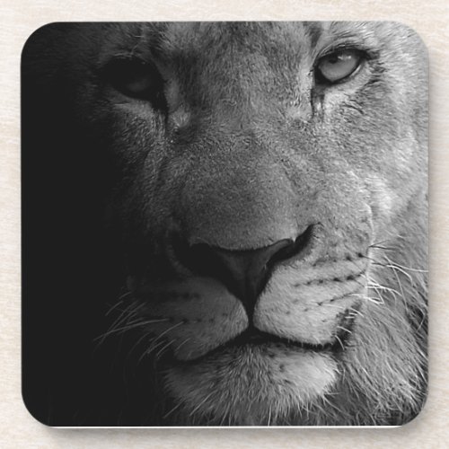 Black White Motivational Leadership Lion Portrait Drink Coaster