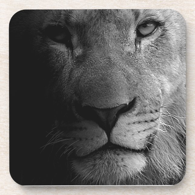 Black White Motivational Leadership Lion Portrait Drink Coaster (Front)