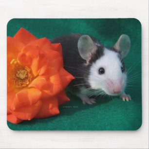 Black White Mouse and Orange tea rose Mouse Pad