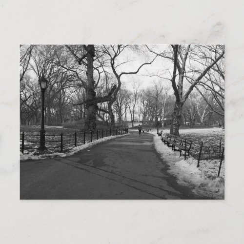 Black White NY Central Park Postcard