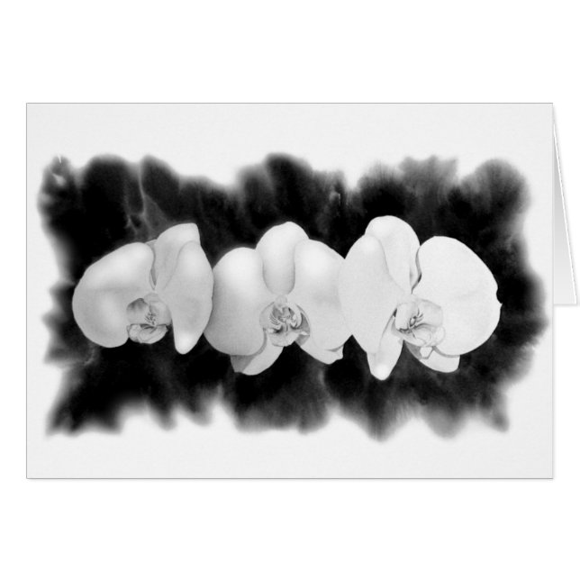 Black White Orchid painting tropical floral   (Front Horizontal)