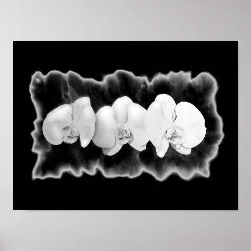 Black White Orchid painting tropical floral   Poster