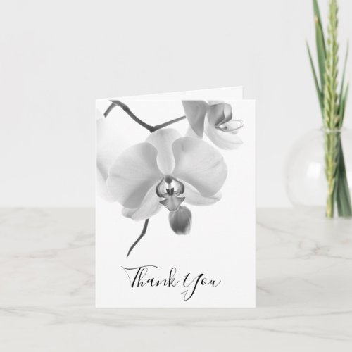Black White Orchids on Stem Sympathy Thank You