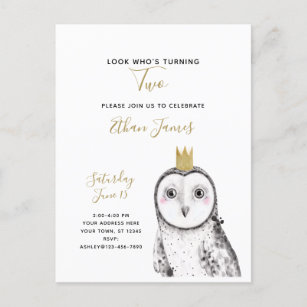 Black & White Owl Baby 2nd Birthday Party Invitation Postcard