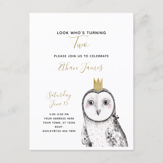 Black & White Owl Baby 2nd Birthday Party Invitation Postcard (Front)