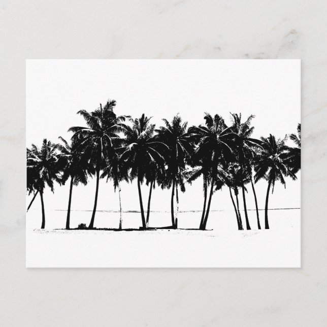 Black White Palm Trees Silhouette Postcard (Front)
