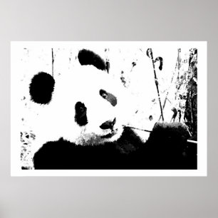 Black & White Panda Face Posters Prints