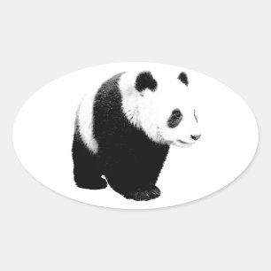 Black & White Panda Oval Sticker