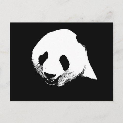 Black  White Panda Postcard