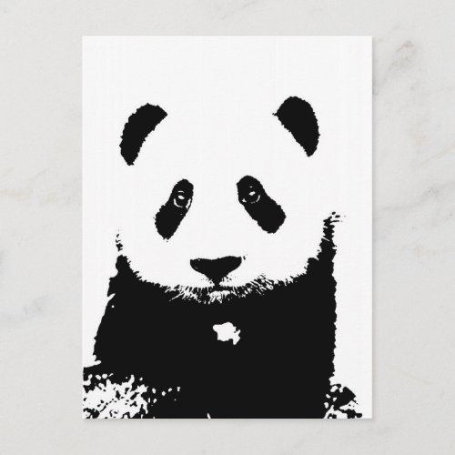 Black  White Panda Postcard