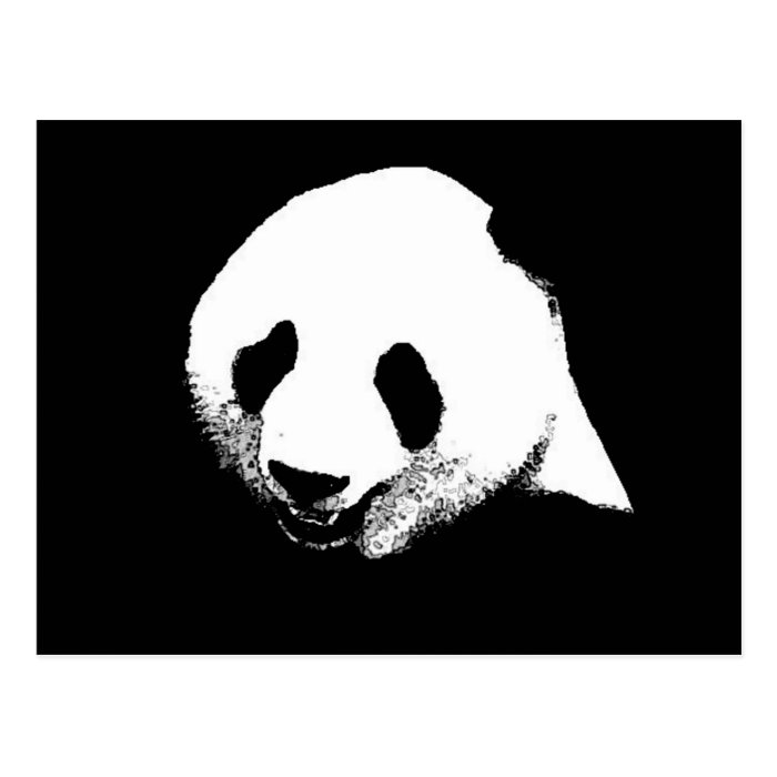 Black & White Panda Postcards