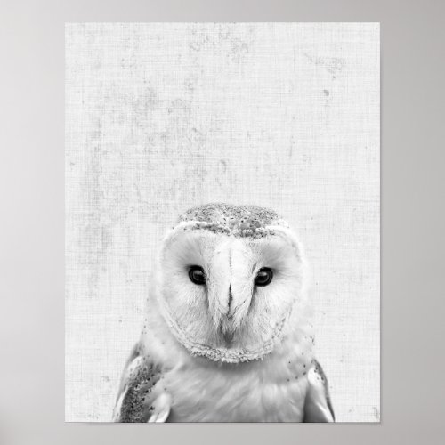 Black  White Peekaboo Barn Owl Minimalist Nursery Poster