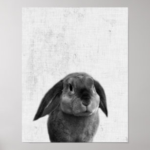 Black & White Peekaboo Bunny Minimalist Nursery Poster